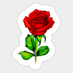 Rose Sticker